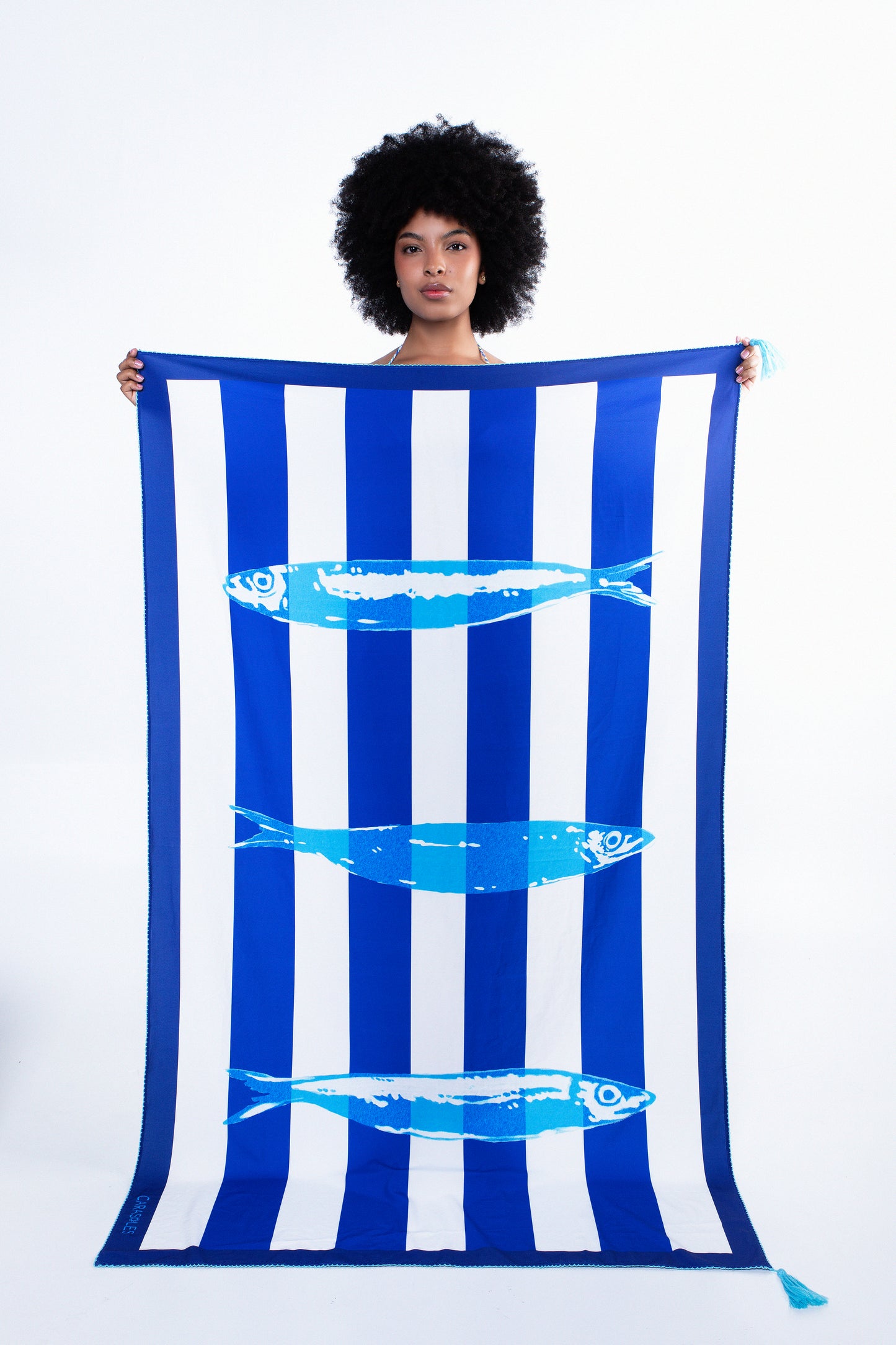 The Endless Summer Set